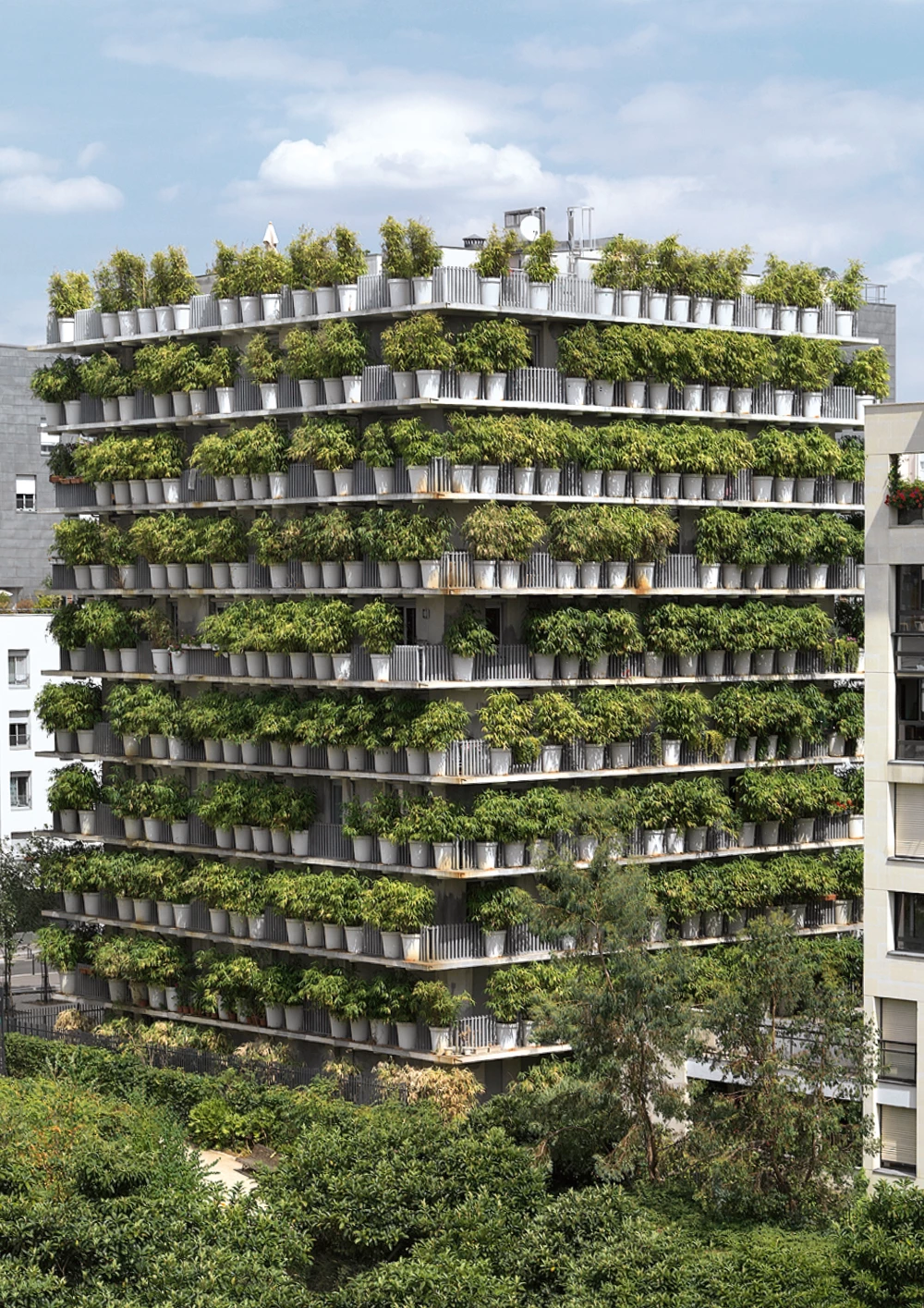 Verde verticale: come si realizza e vantaggi - Mino Caggiula Architects