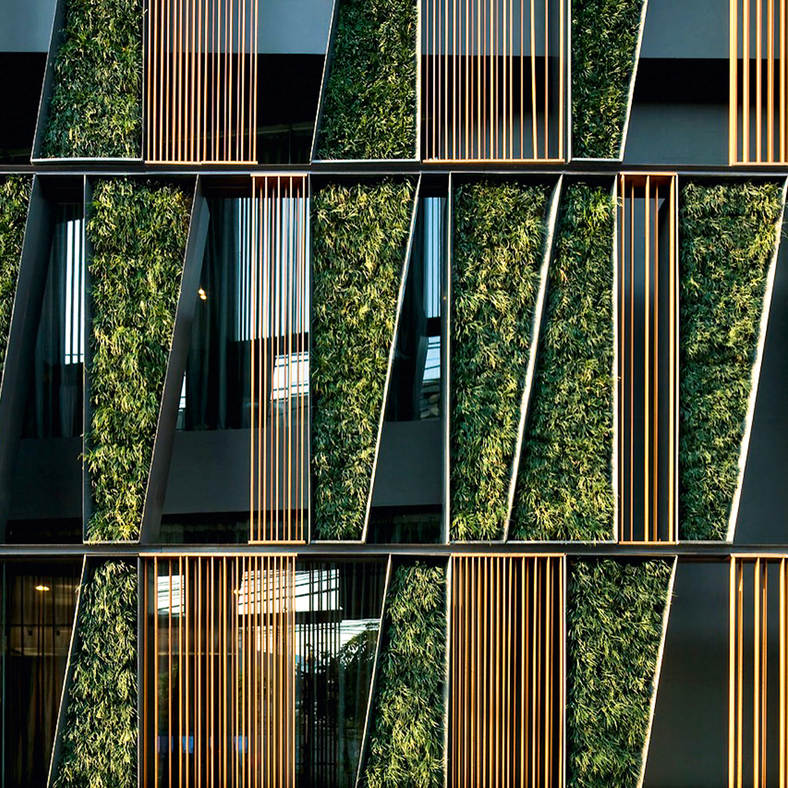 Jardines verticales - Consuelo Acha Esteban Domínguez | Arquitectura Viva