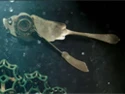 Deep', el mundo submarino en un corto de PES Un viaje submarino recreado a partir de objetos convencionales y filmado en stop motion por el joven director y animador neoyorquino Adam Pesapane (más conocido como PES).