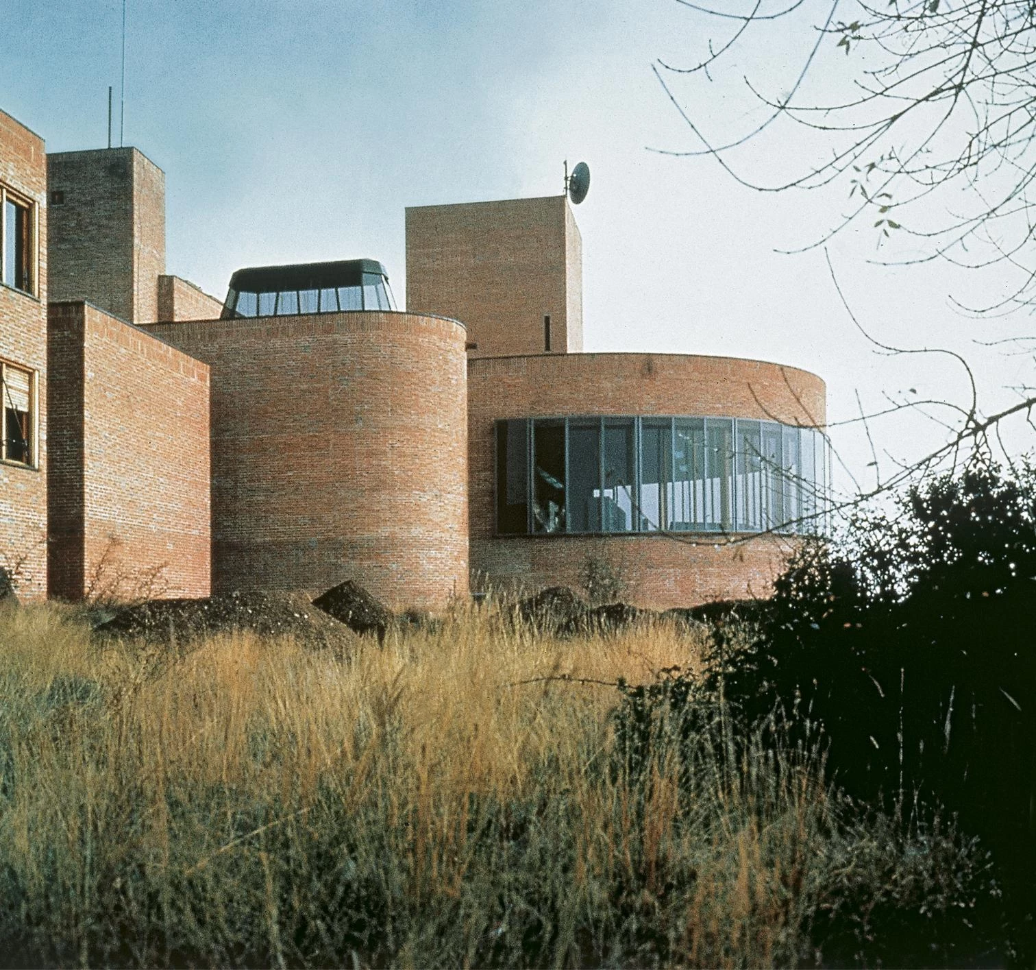 Julio Cano Lasso. Naturalezas