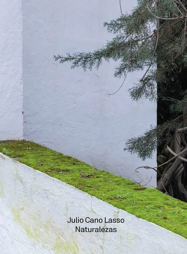 Julio Cano Lasso. Naturalezas