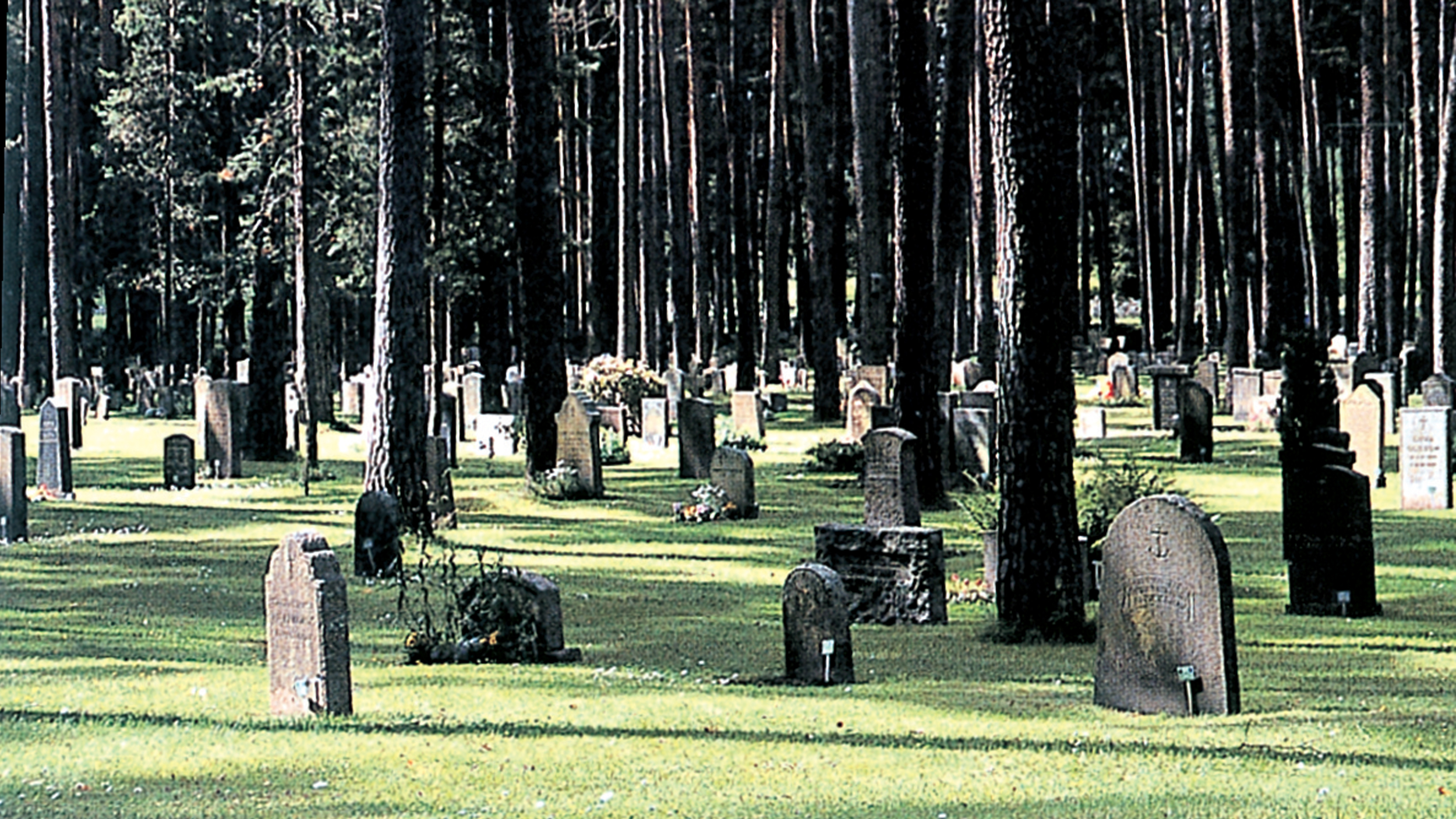 Retales y relatos del cementerio occidental
