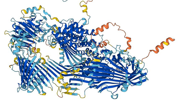 Un programa de Google predice la estructura de todas las proteínas