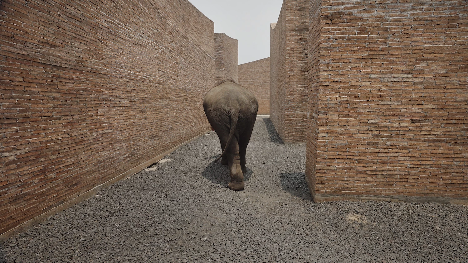‘Big Ears Listen with Feet’, de Bêka & Lemoine