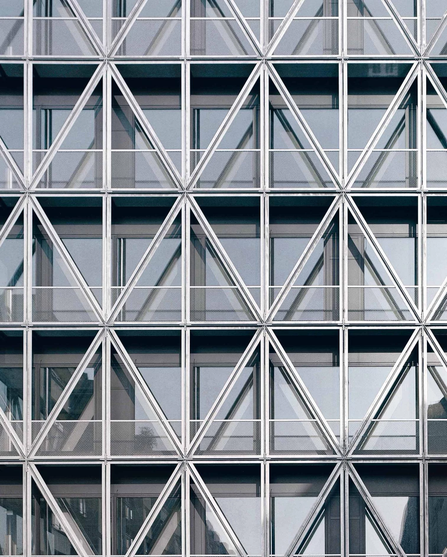 Geometría y libertad