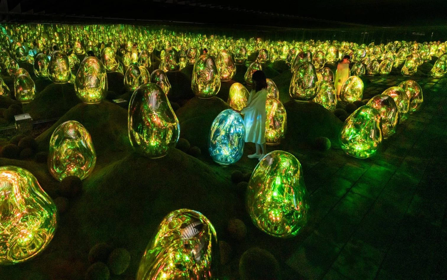 Museo digital teamLab Planets Tokyo