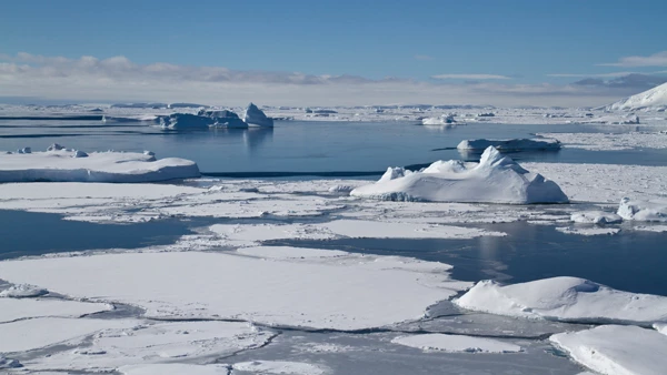 El Ártico perderá todo su hielo