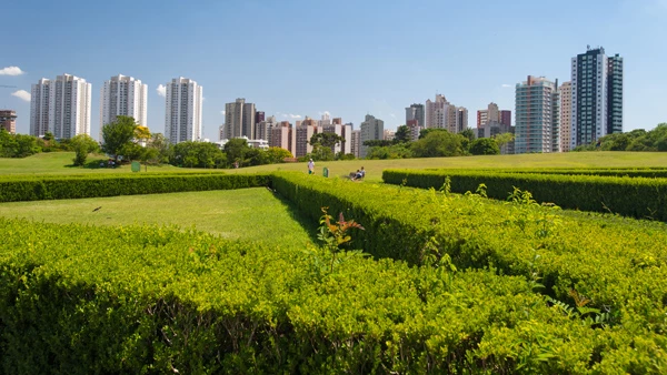 Curitiba: el icono sostenible y verde de Brasil