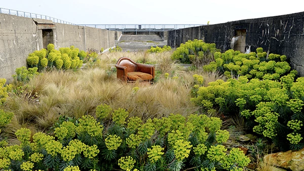 Gilles Clément, el jardinero filosófico que deja a las plantas en paz