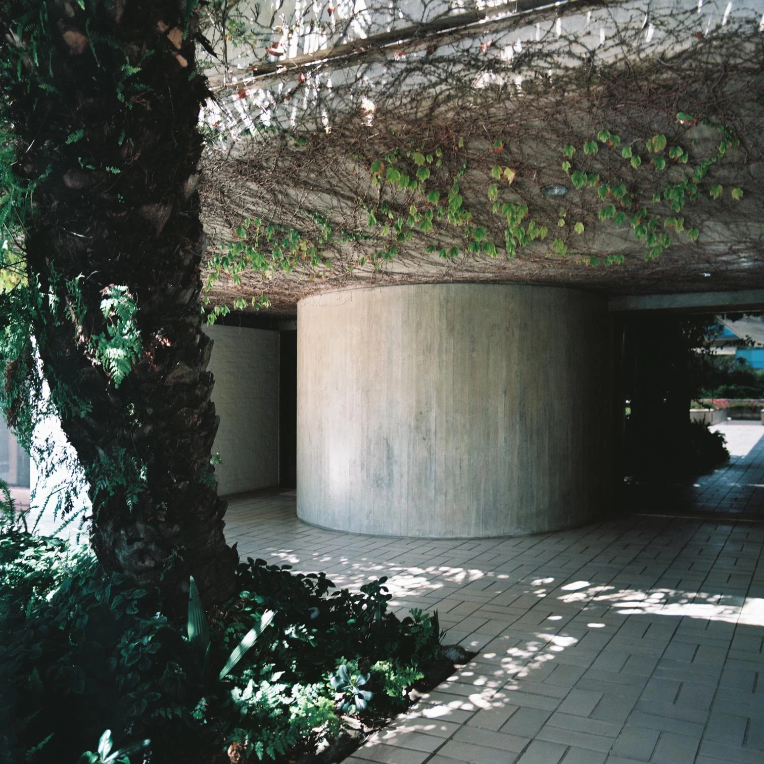 Casa en Playa Brava, de Ricardo Gomara