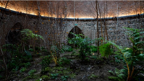 Precious Okoyomon convierte en un bosque el rincón secreto del Retiro