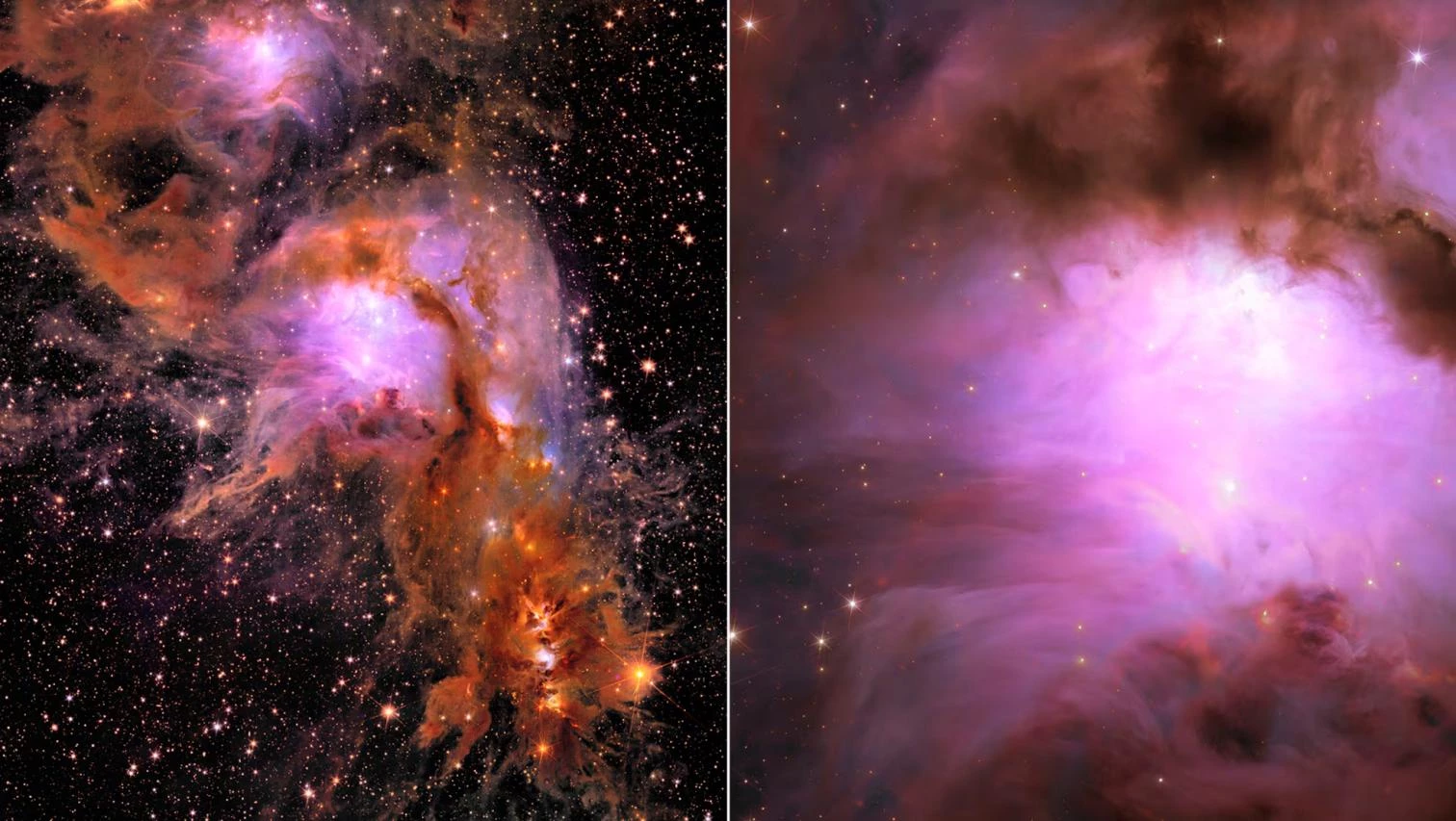 El telescopio Euclid celebra sus primeros descubrimientos