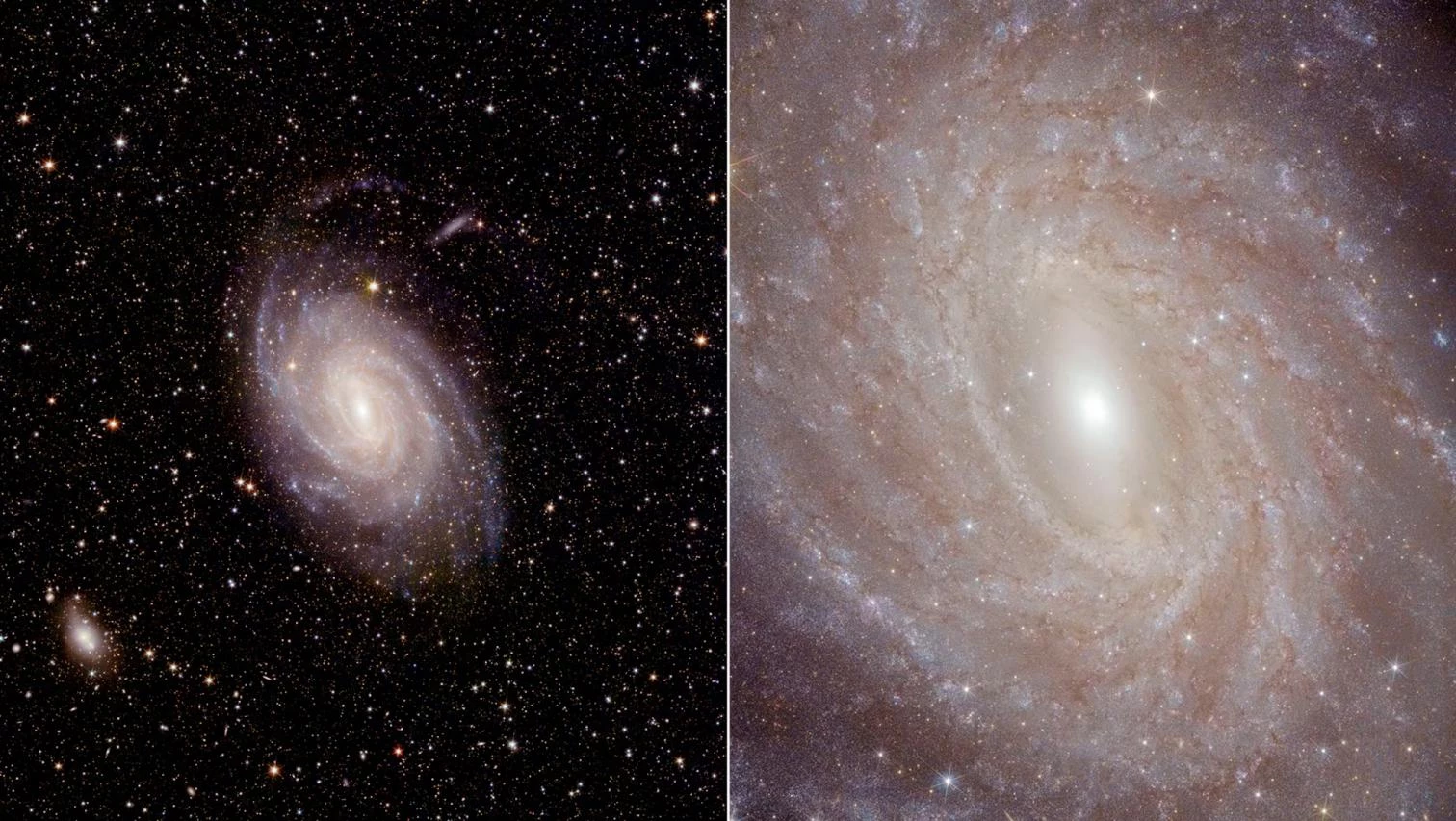 El telescopio Euclid celebra sus primeros descubrimientos