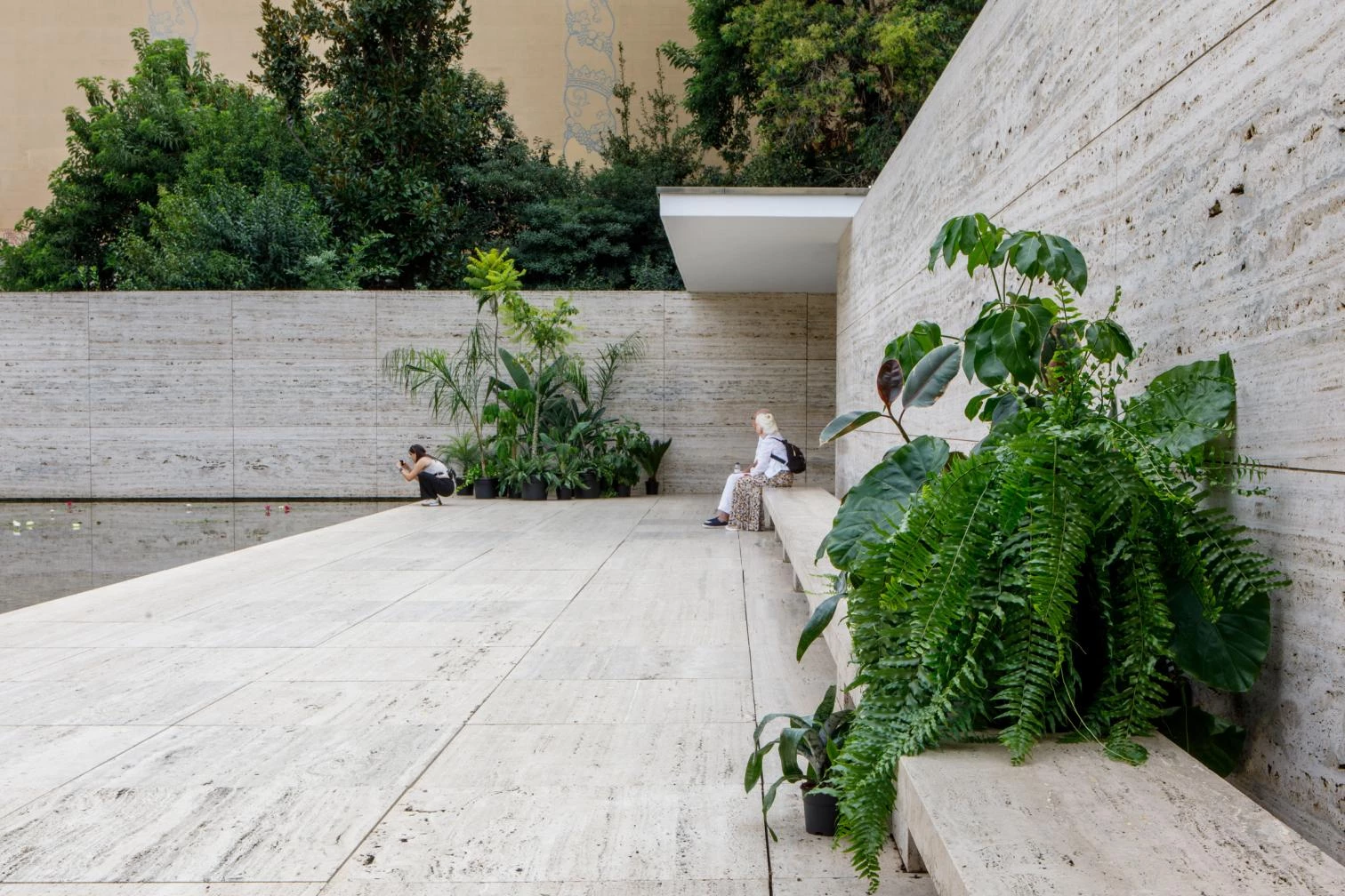 ‘Suspendre el Cel’, by Caio Reisewitz