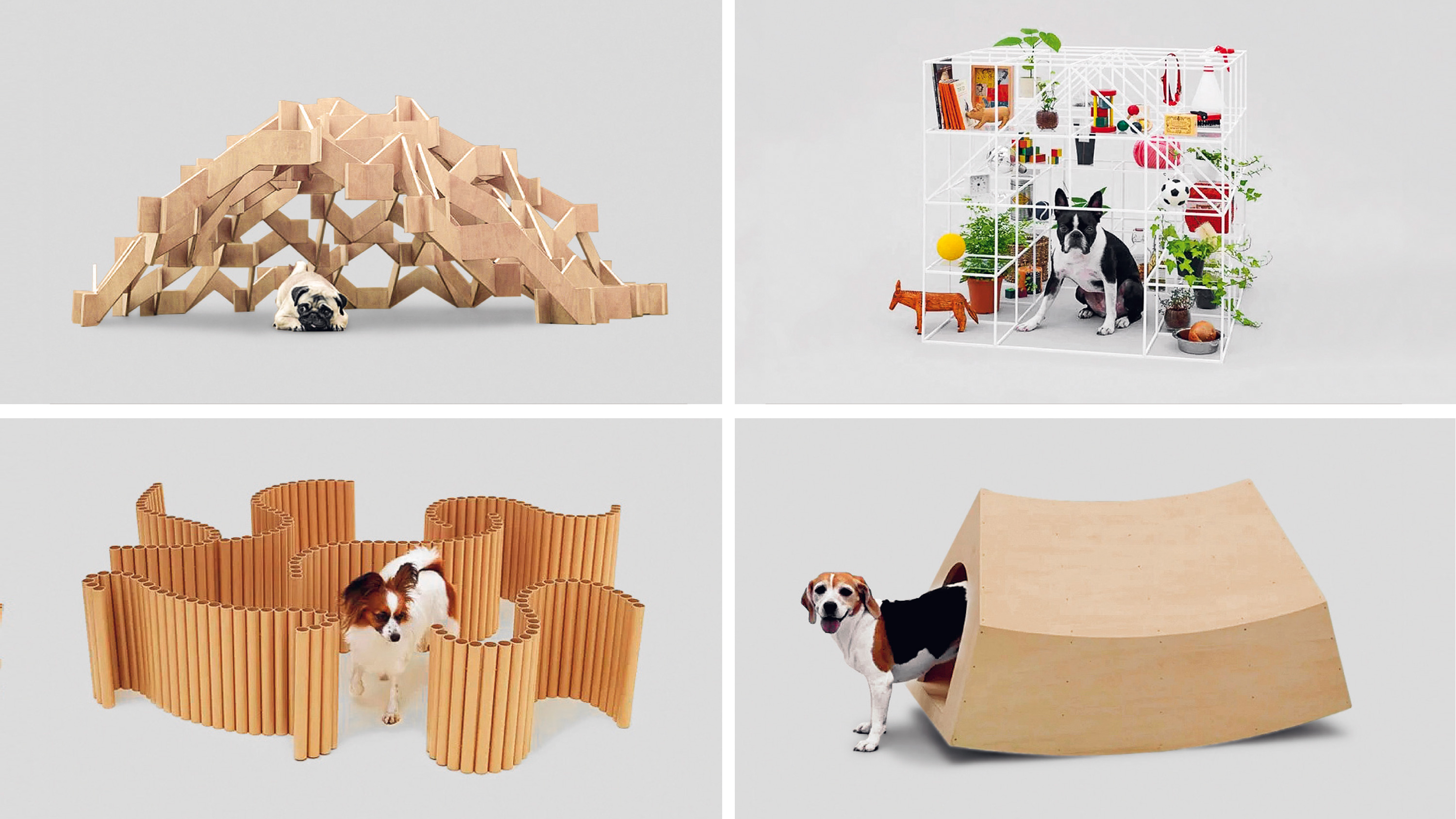 Architecture for Dogs en el ADI Design Museum