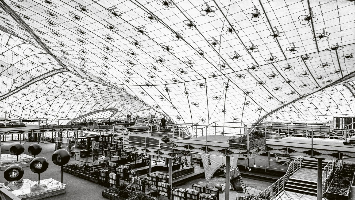 La construcción natural
