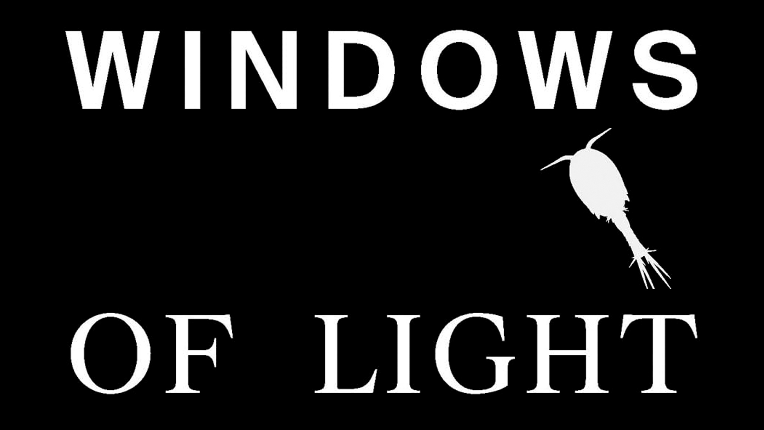Haz de luz