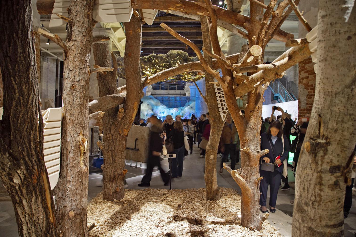 Inauguración de la Bienal de Arquitectura de Venecia 2025