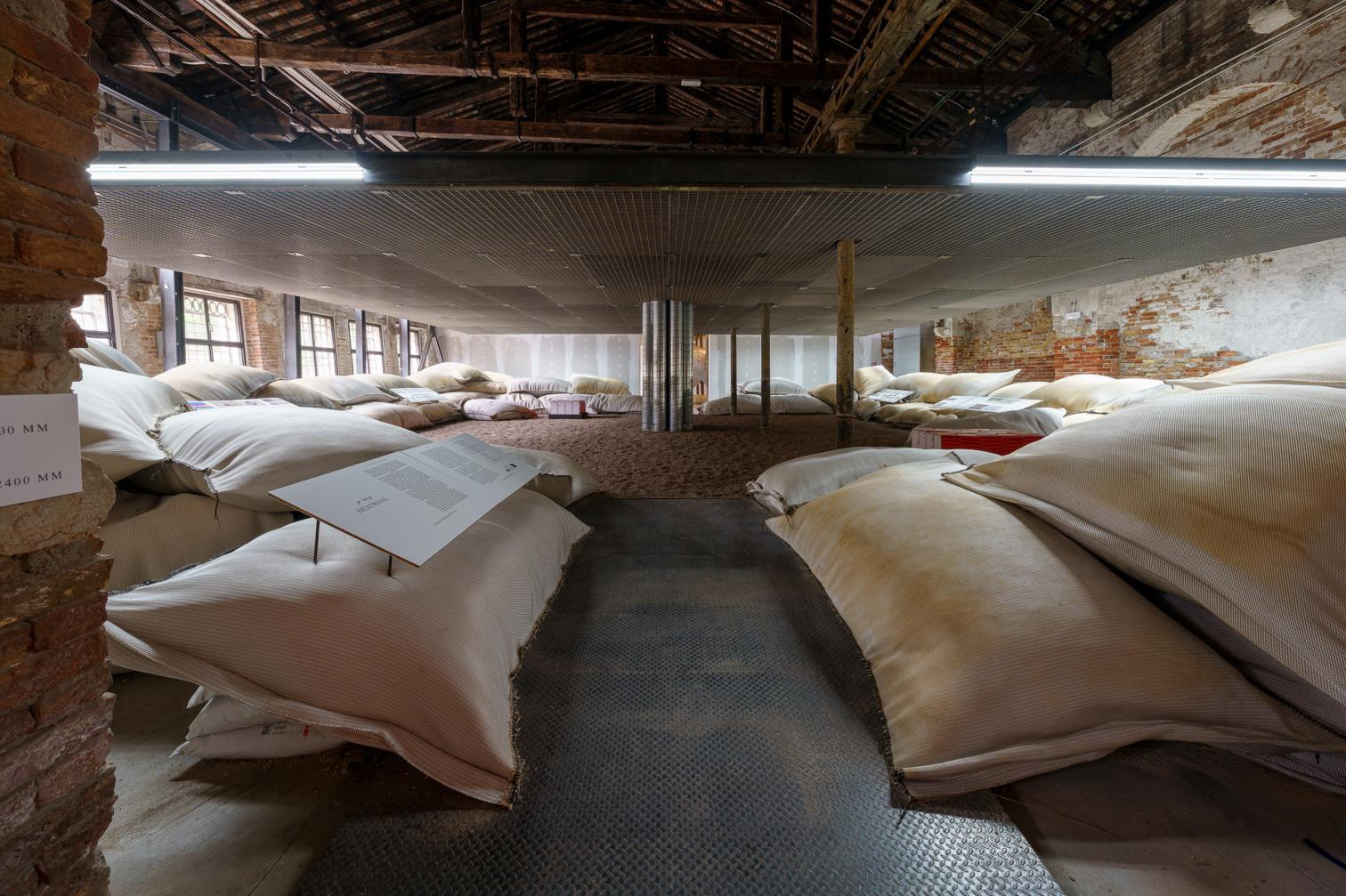 Premios de la Bienal de Arquitectura de Venecia 2025