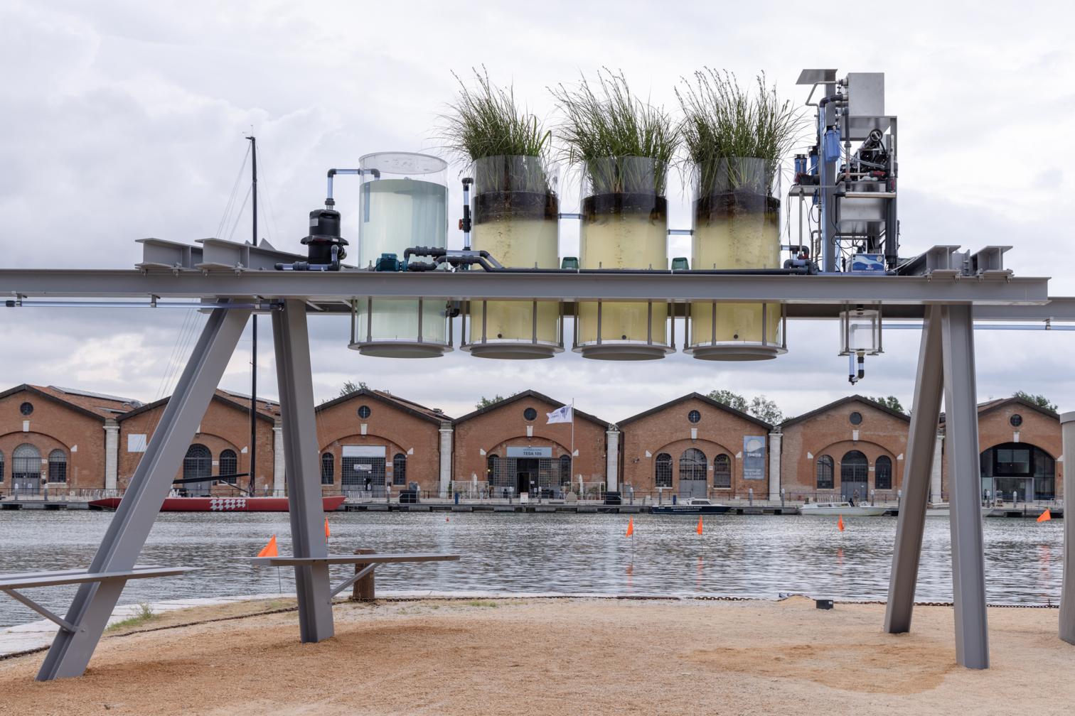 Premios de la Bienal de Arquitectura de Venecia 2025