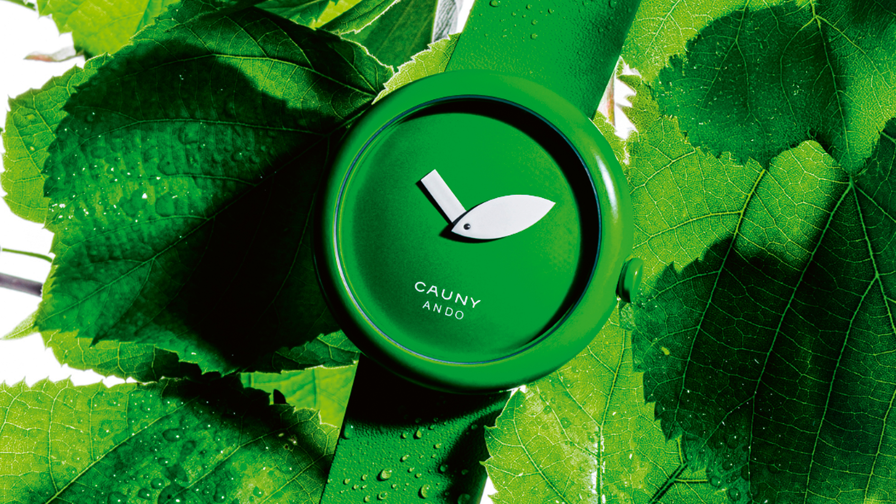 Ando Cauny Watch