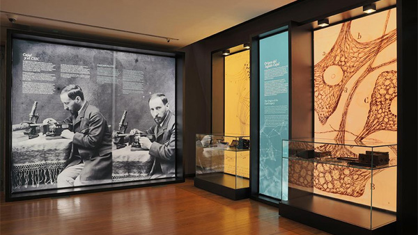 El Ministerio de Ciencia propone crear el esperado Museo Cajal en el corazón de Madrid