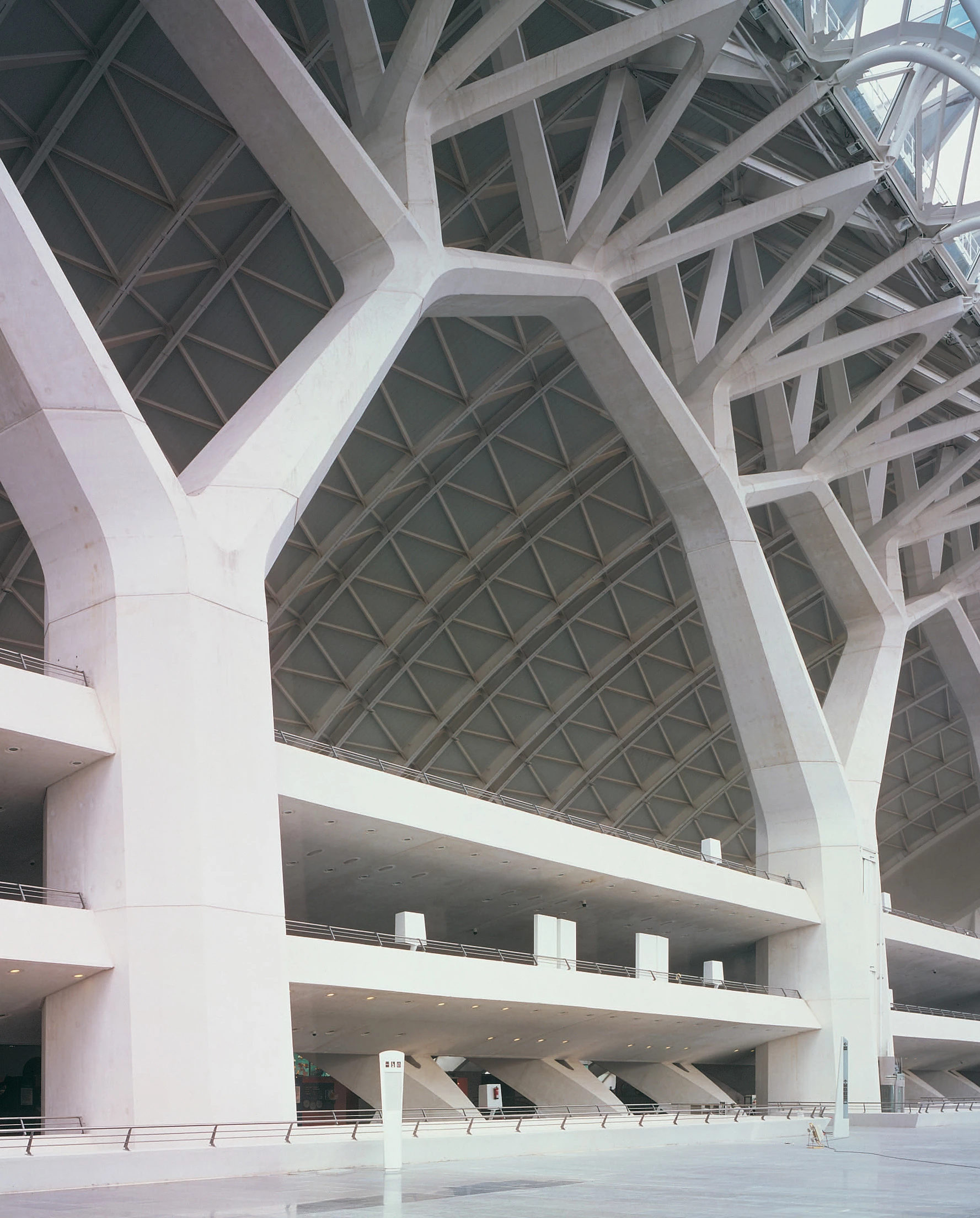 Museo de las Ciencias