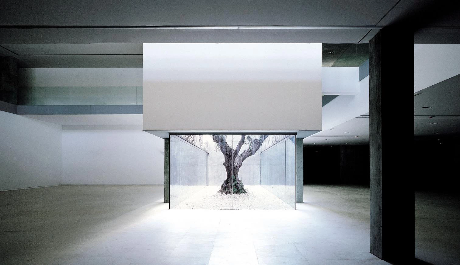 Palacio de Congresos y Exposiciones, Mérida