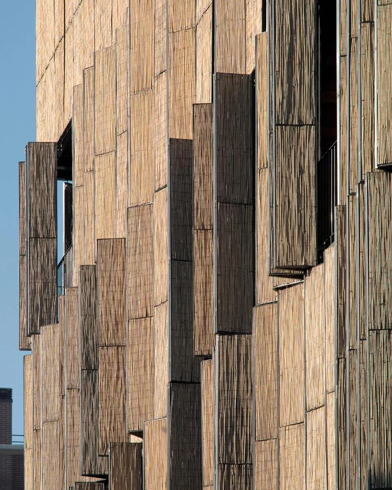 88 Social Housing in Carabanchel, Madrid
