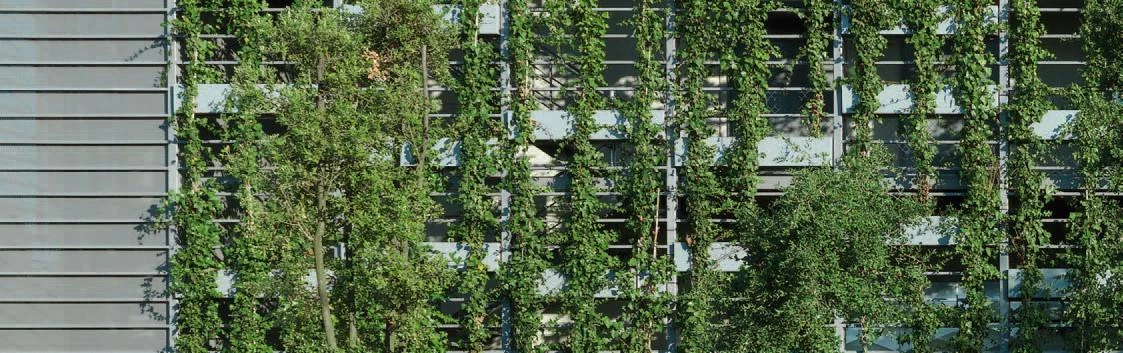 Hotel La Mola