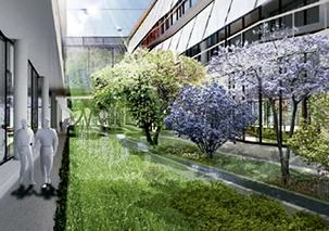Nueva sede del BBVA, Madrid (en proyecto)