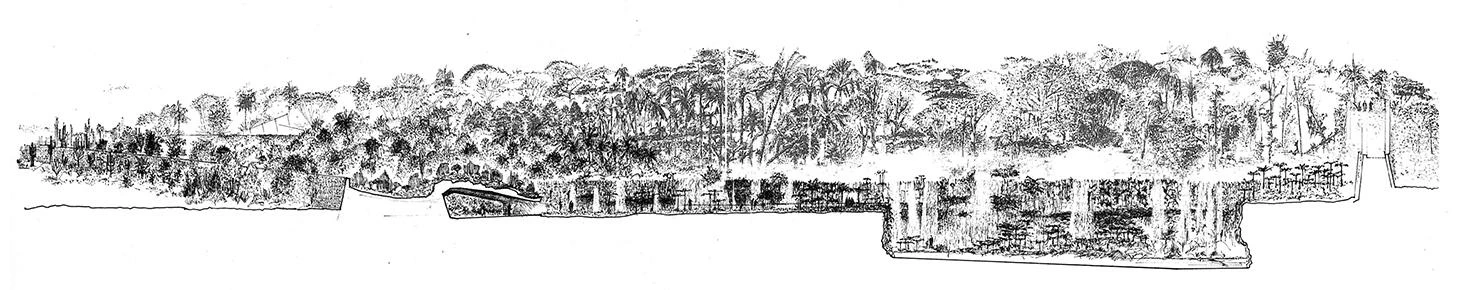 Jardín botánico La Oratava, Tenerife