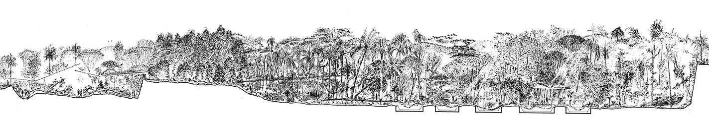 Jardín botánico La Oratava, Tenerife
