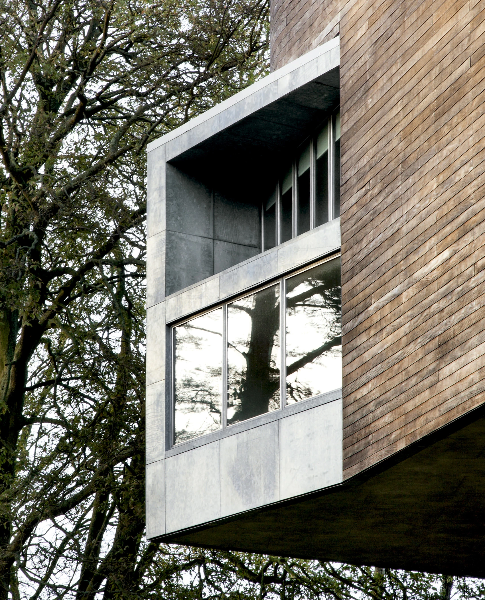 Galería Lewis Glucksman