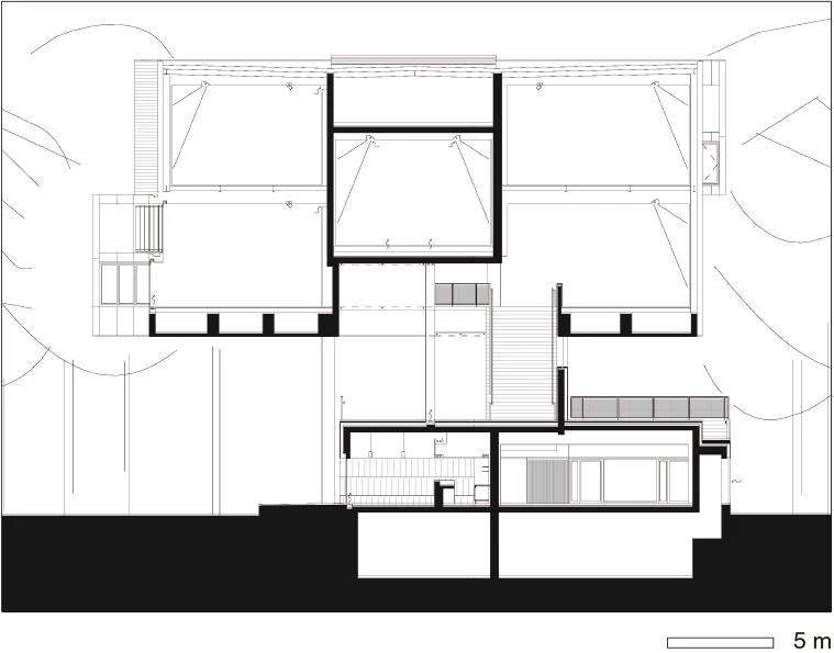 Galería Lewis Glucksman