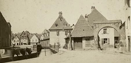 Musée Unterlinden, Extension, Colmar