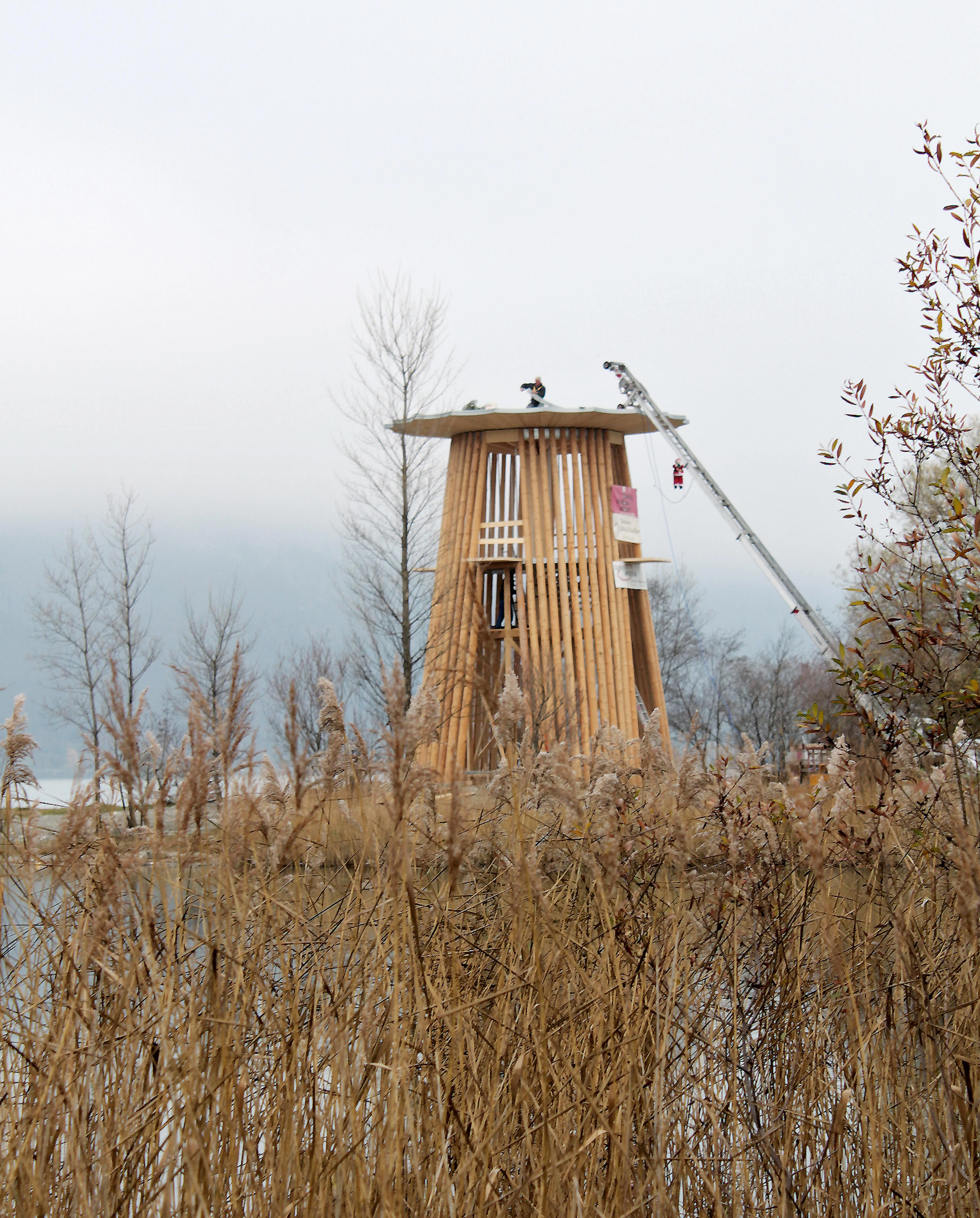 Bird watching tower | aparkai.lt