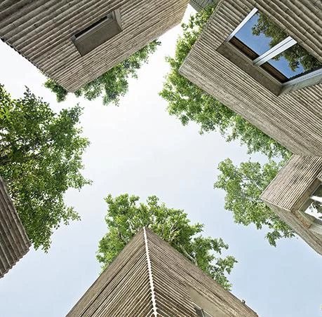 Casa de los árboles, Ho Chi Minh