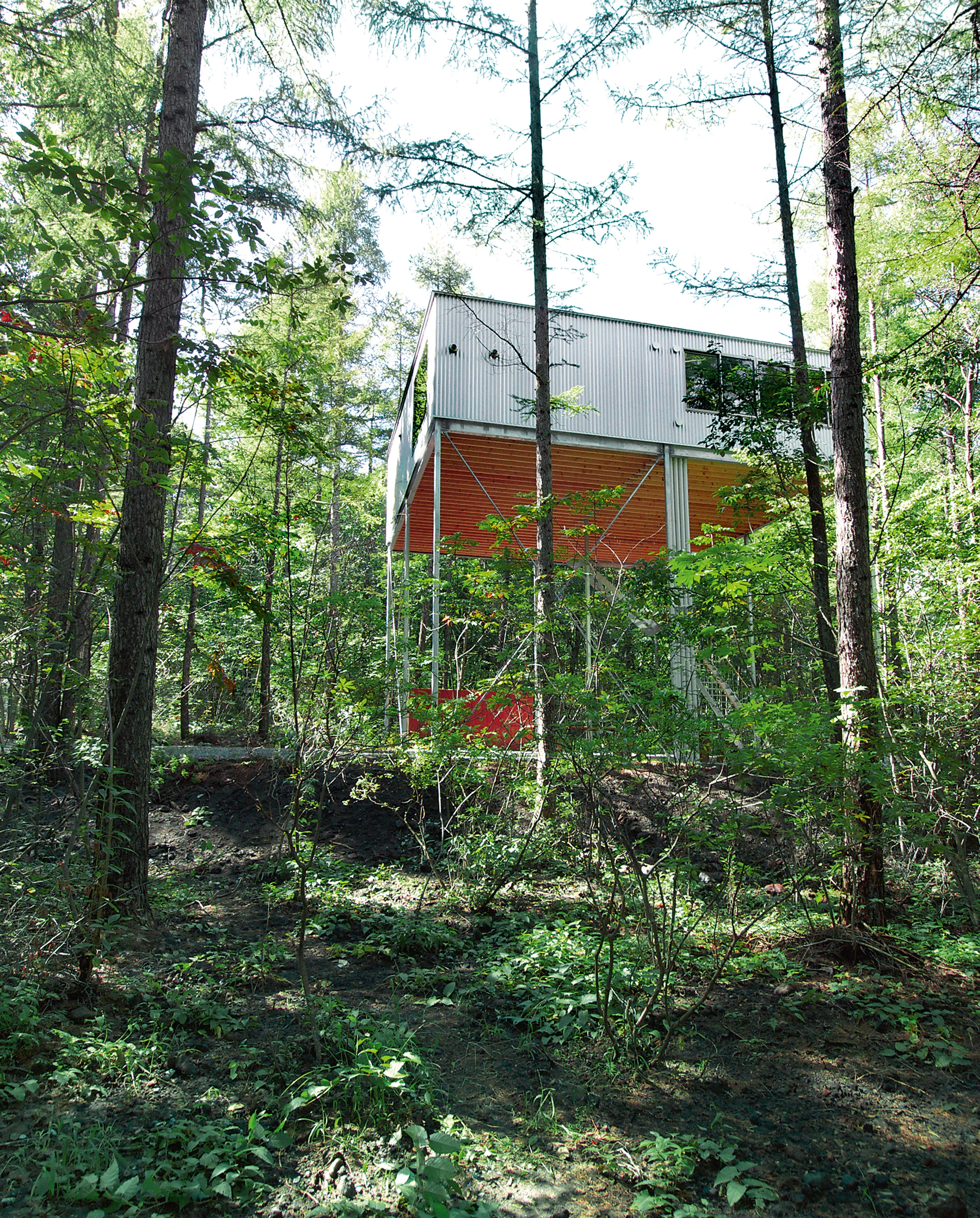  ‘Pilotis in the Forest’, House in Karuizawa