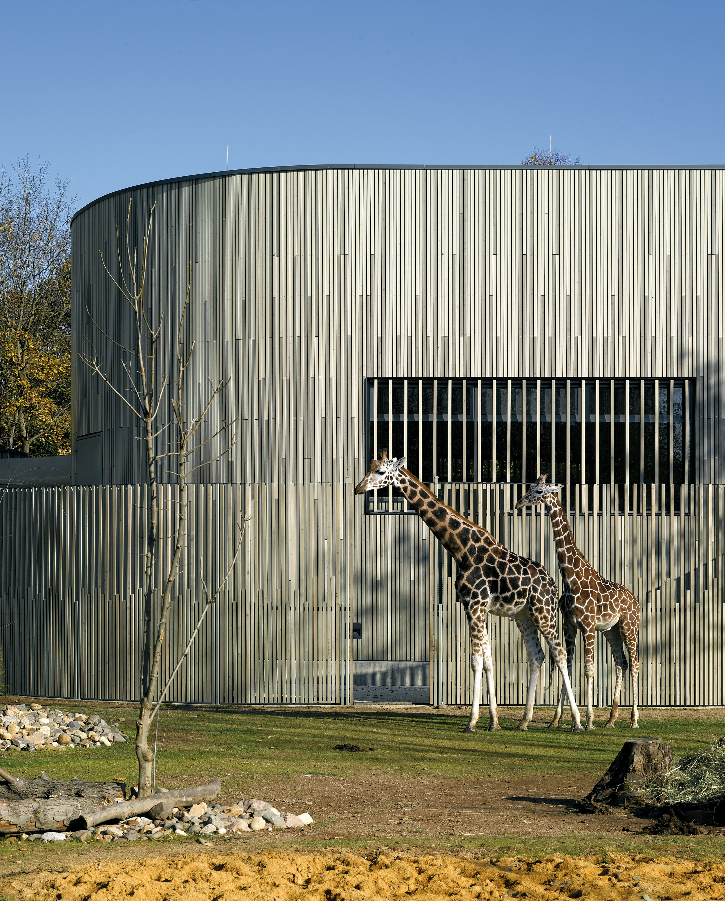 Enclosure for Giraffes and Zebras, Dresden Zoo