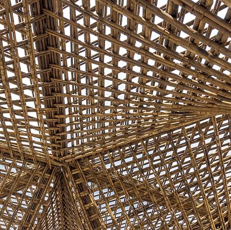 Bamboo wood by Anja Van Impe