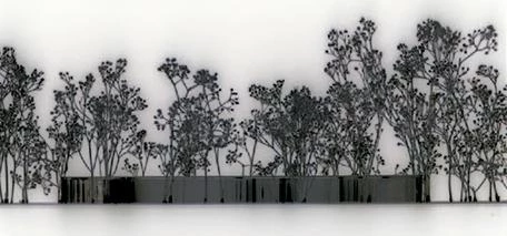 Pabellón de Vidrio, Museo de Arte de Toledo, Ohio
