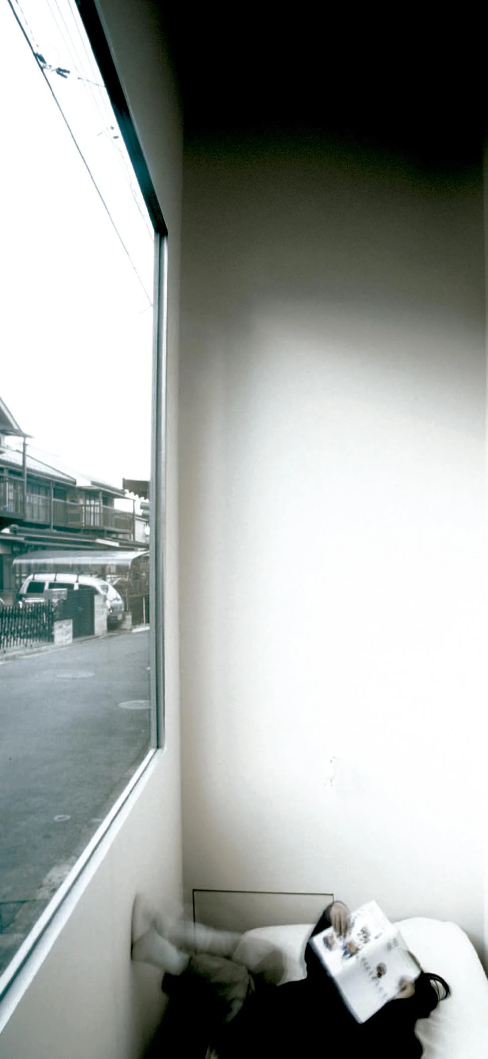 Casa en un huerto con ciruelos, Tokio