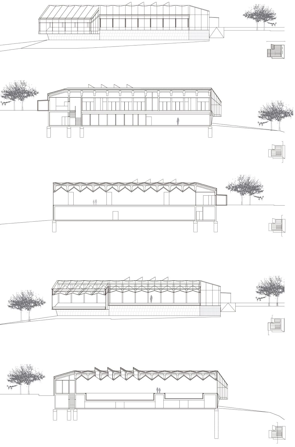 Piscina universitaria, Orense