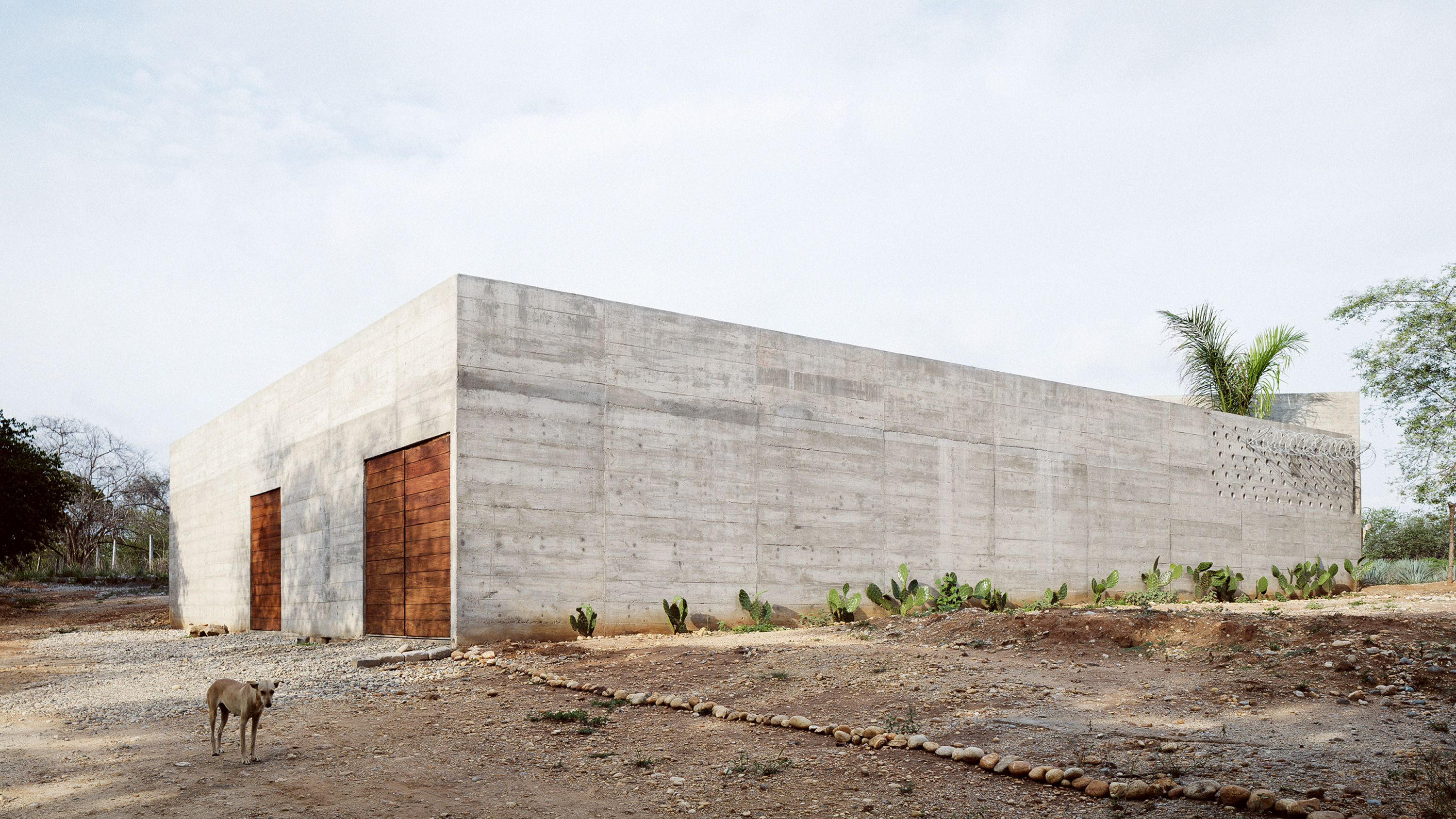 Zicatela House, Puerto Escondido - Ludwig Godefroy | Arquitectura Viva