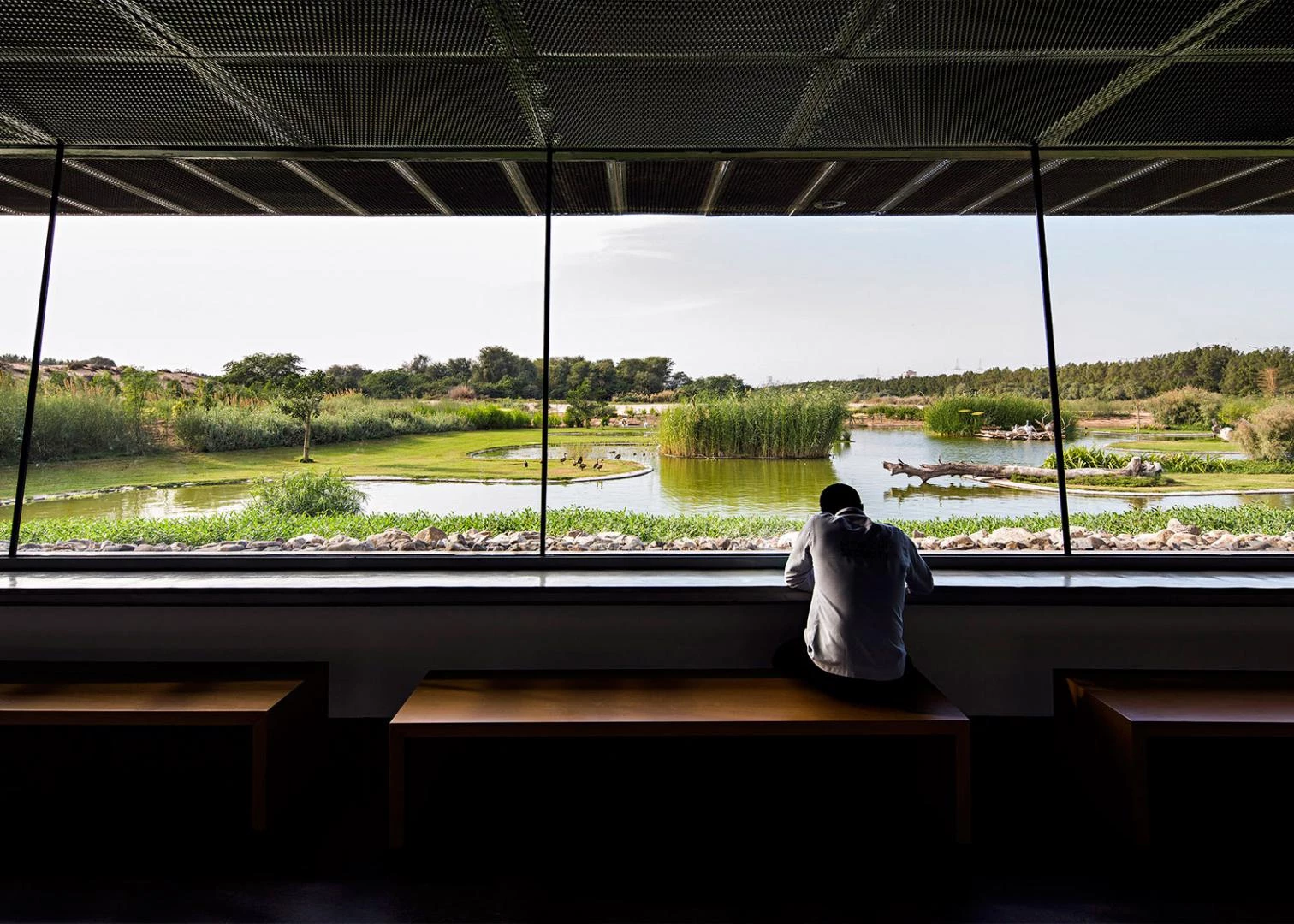 Wasit Wetland Center en Sharjah