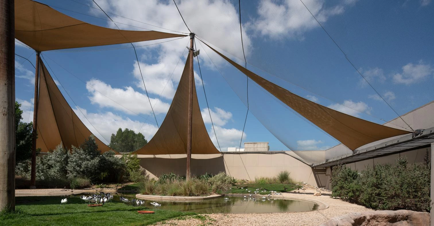 Wasit Wetland Center en Sharjah