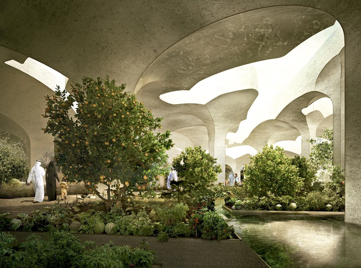 Parque Al Fayah, Abu Dabi