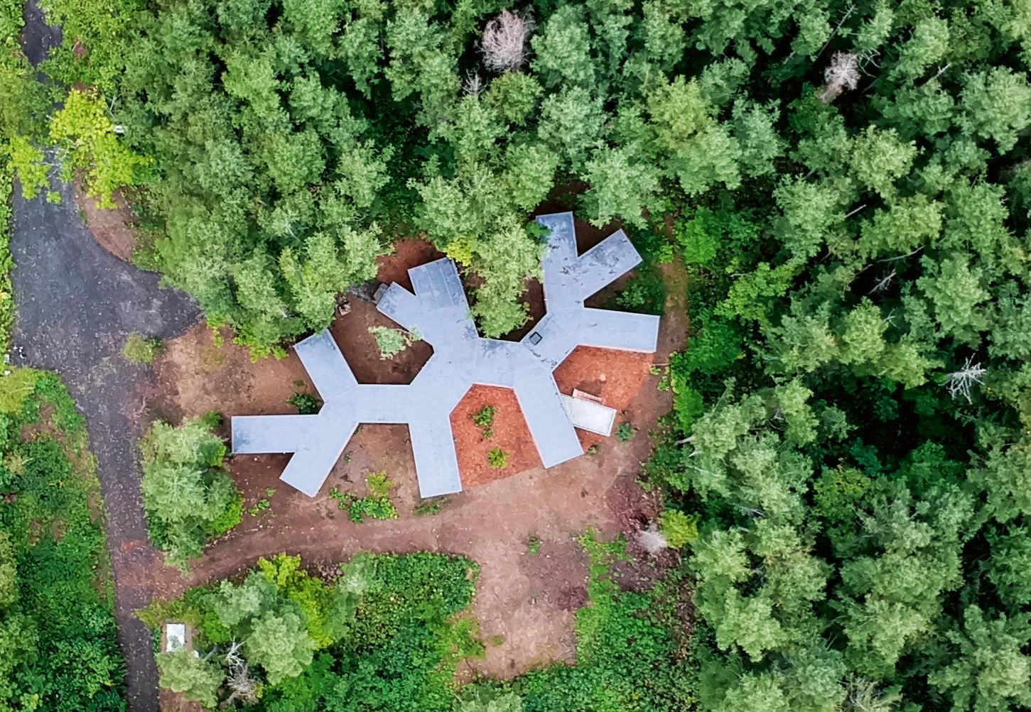 Casa en el bosque, Rankoshi