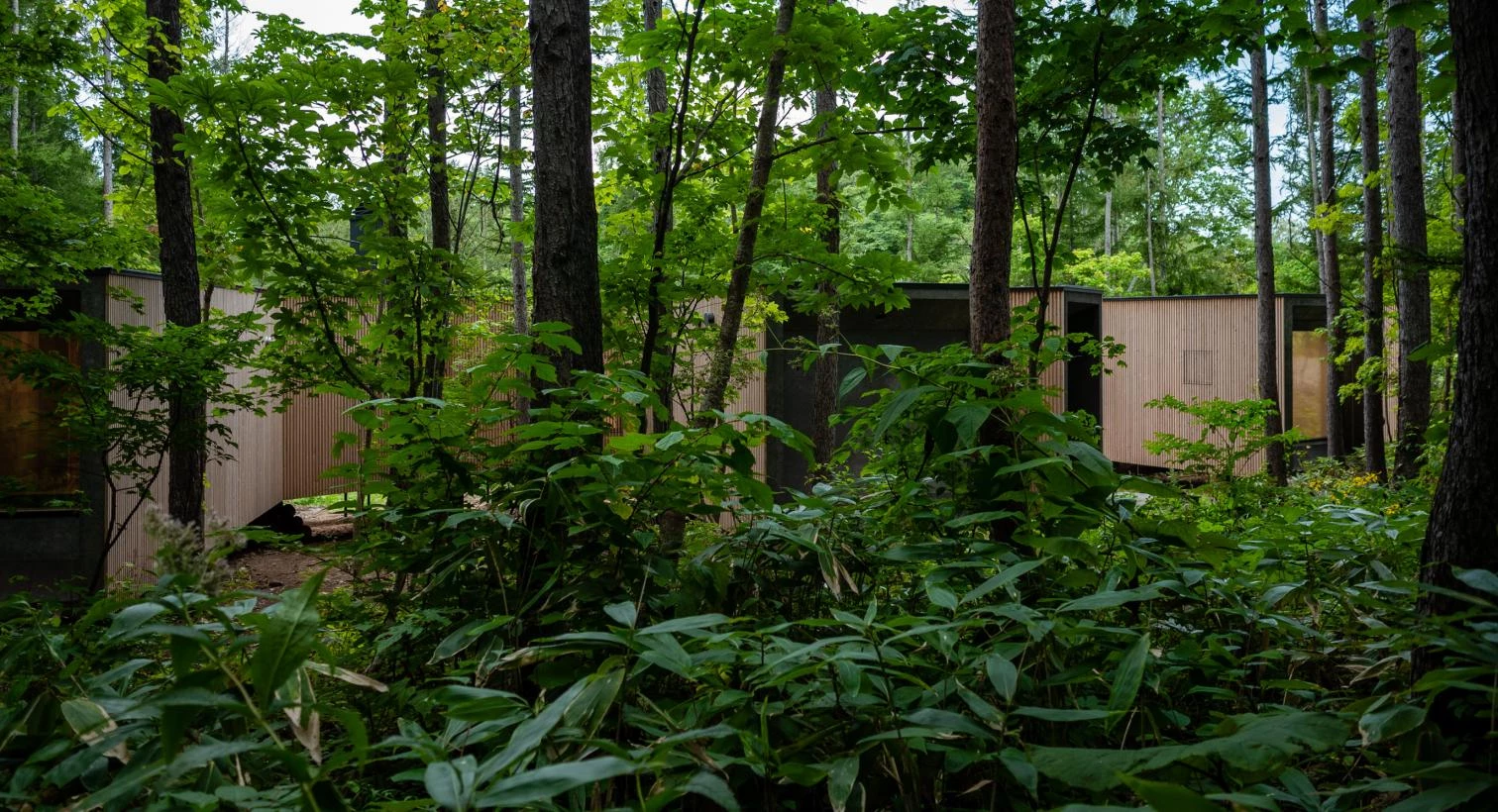 Casa en el bosque, Rankoshi